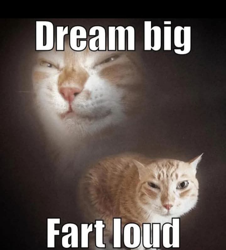 dream big
